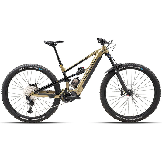 E-Mountain Bike