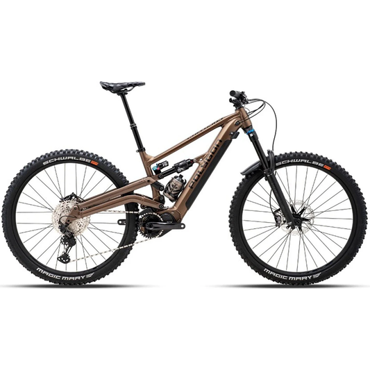 E-Mountain Bike