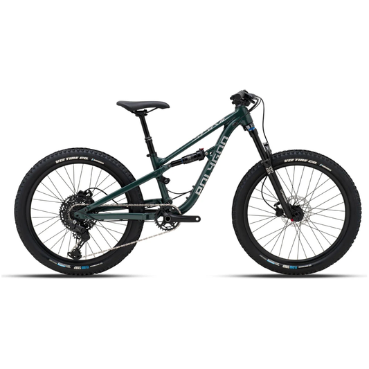 Kids Mountain Bike